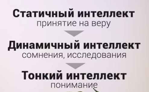 Интеллект.PNG